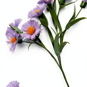 Kyle Books Flower Arranging Guide for Kindle-0