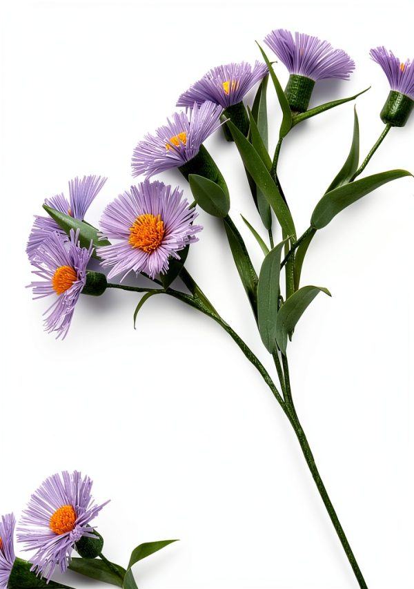 Kyle Books Flower Arranging Guide for Kindle-0