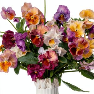 Annual Flower Gardening with Timber Press-0