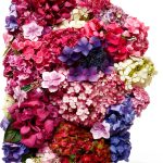 Annuals Gardening Book by Pavilion Books Kindle eBook 2020 Edition-0
