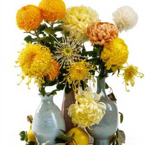 Gardening Essays Kindle by Artisan – 283‑Page Guide with X‑Ray-0