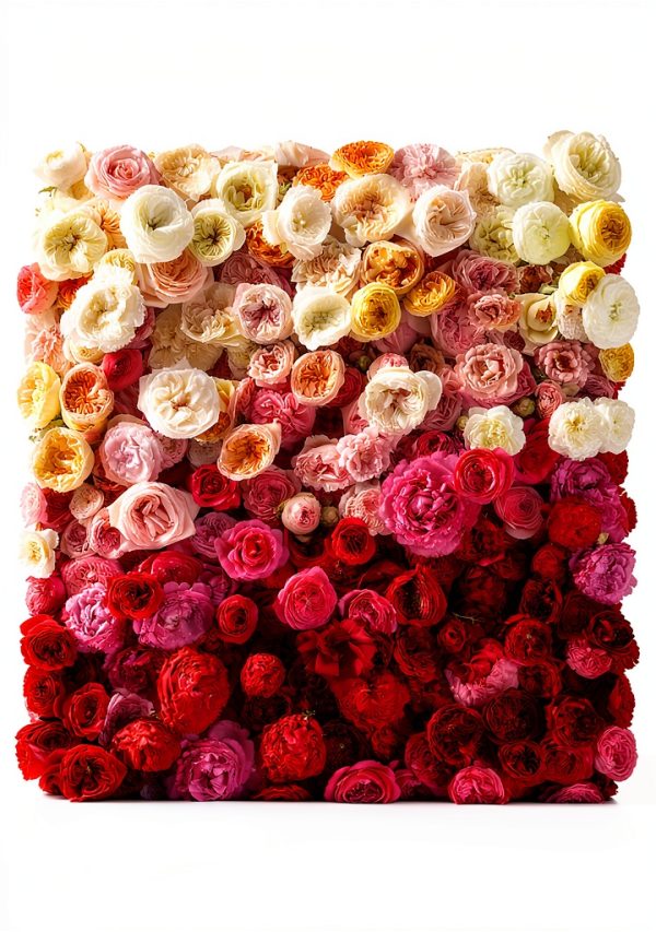 Rose Gardening for Beginners by Artisan - Kindle Edition-0