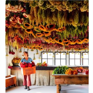 Flower Arranging for Beginners: A Step-by-Step Guide by Clarkson-0